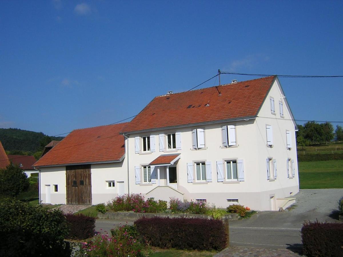 Gite Leonline Sur Les Hauteurs De Masevaux -Au Pied Des Vosges Kültér fotó
