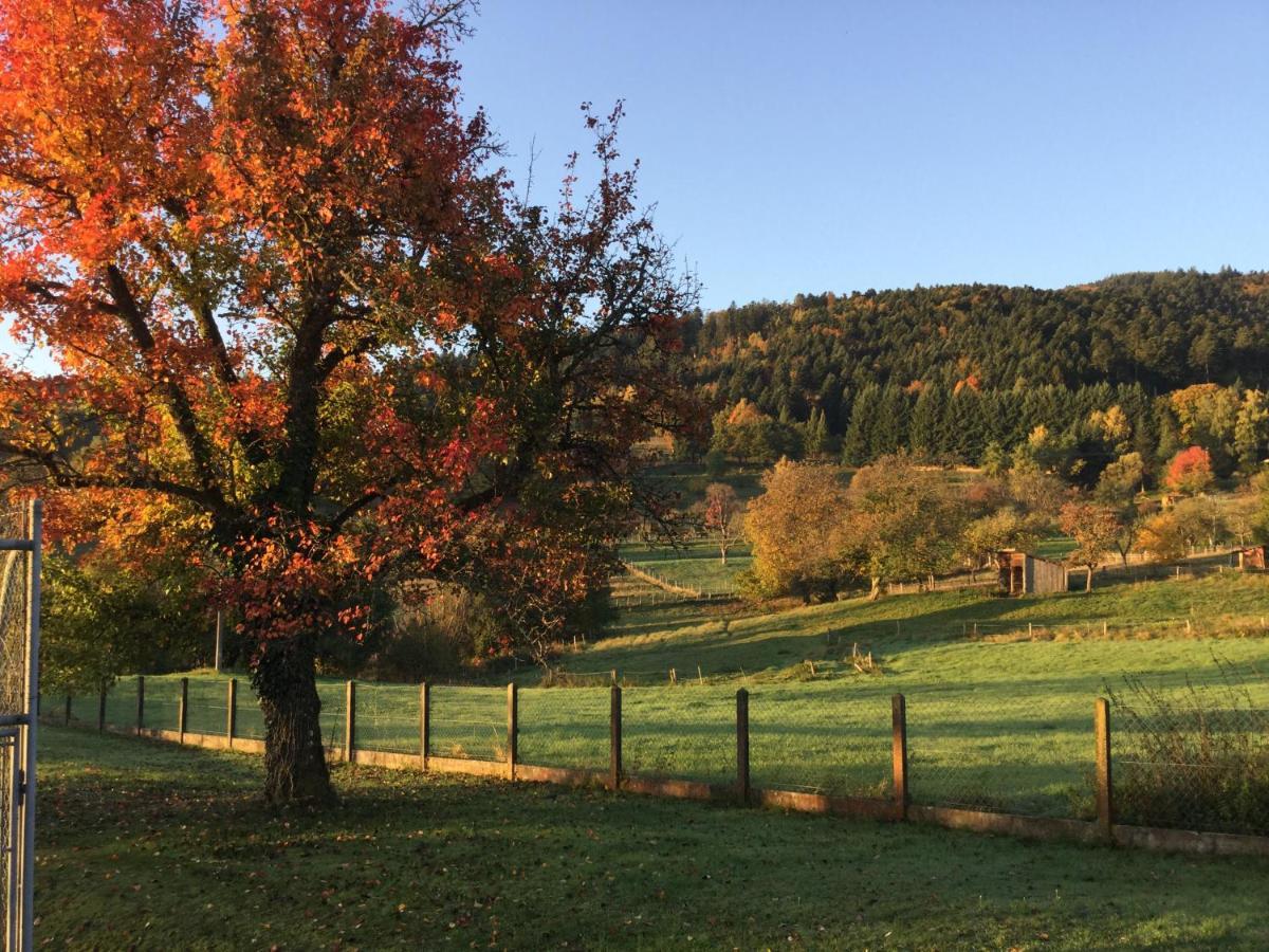 Gite Leonline Sur Les Hauteurs De Masevaux -Au Pied Des Vosges Kültér fotó