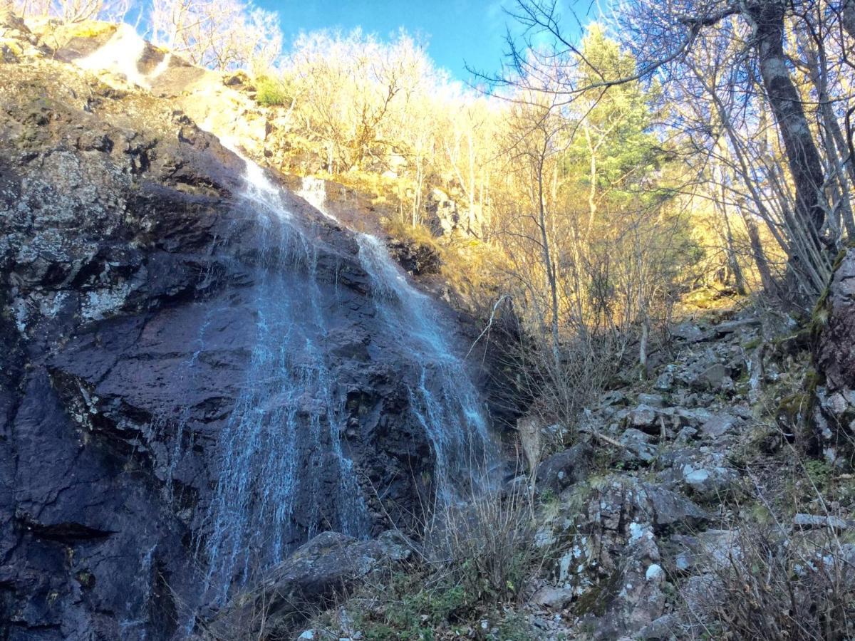 Gite Leonline Sur Les Hauteurs De Masevaux -Au Pied Des Vosges Kültér fotó