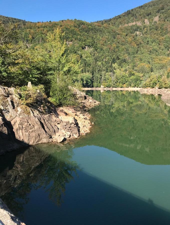 Gite Leonline Sur Les Hauteurs De Masevaux -Au Pied Des Vosges Kültér fotó