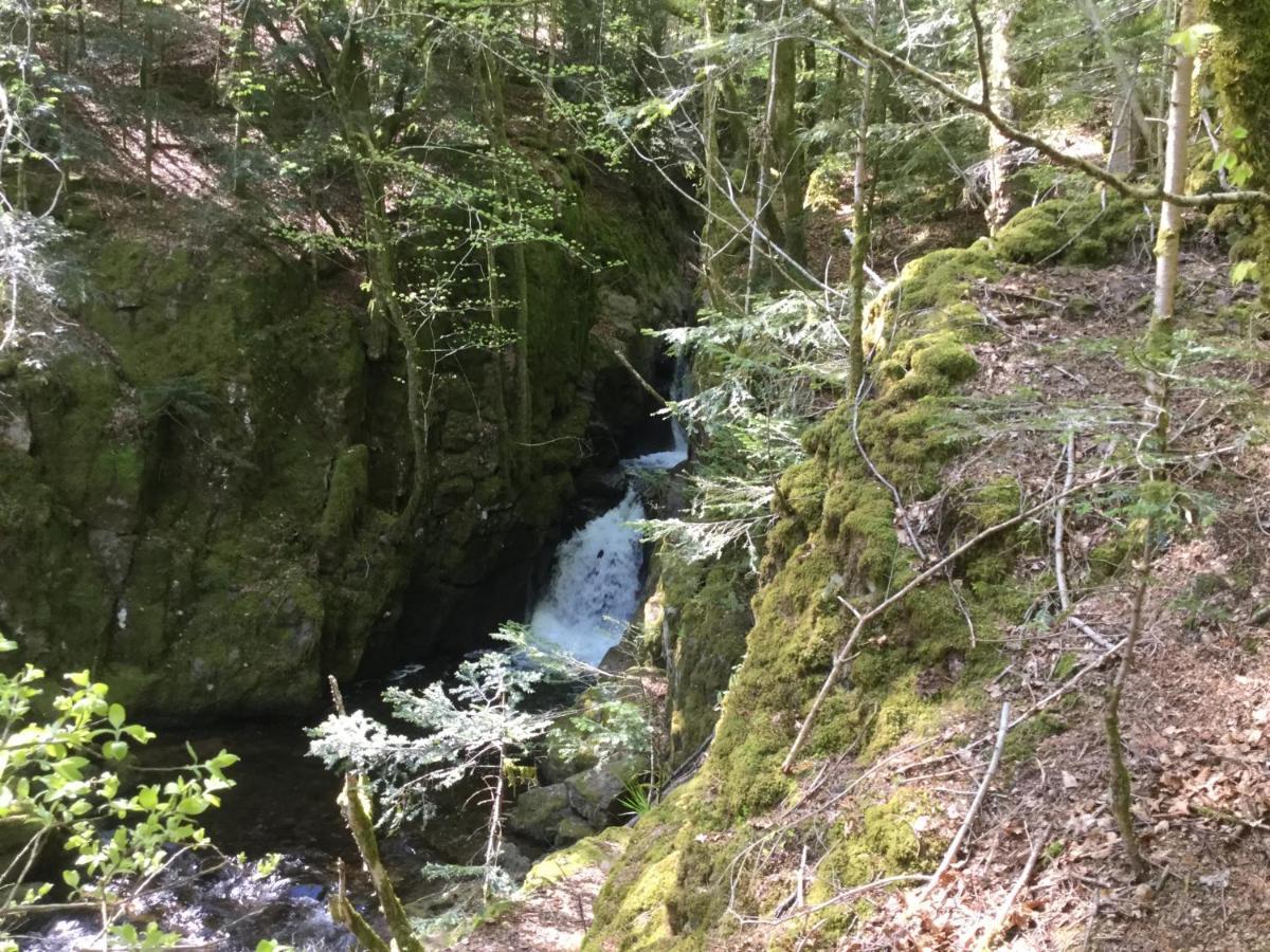 Gite Leonline Sur Les Hauteurs De Masevaux -Au Pied Des Vosges Kültér fotó
