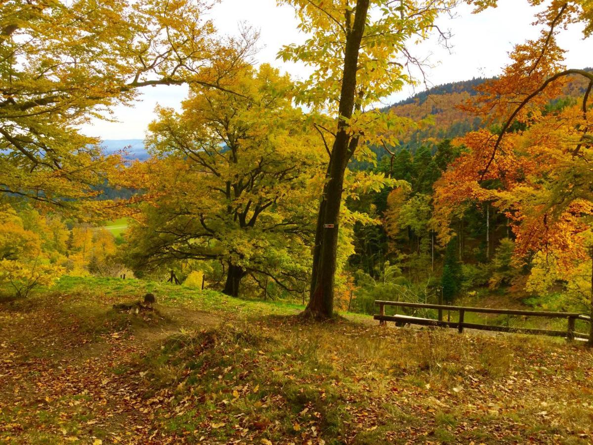 Gite Leonline Sur Les Hauteurs De Masevaux -Au Pied Des Vosges Kültér fotó