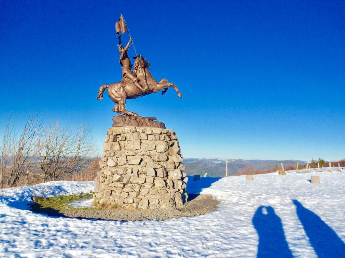 Gite Leonline Sur Les Hauteurs De Masevaux -Au Pied Des Vosges Kültér fotó