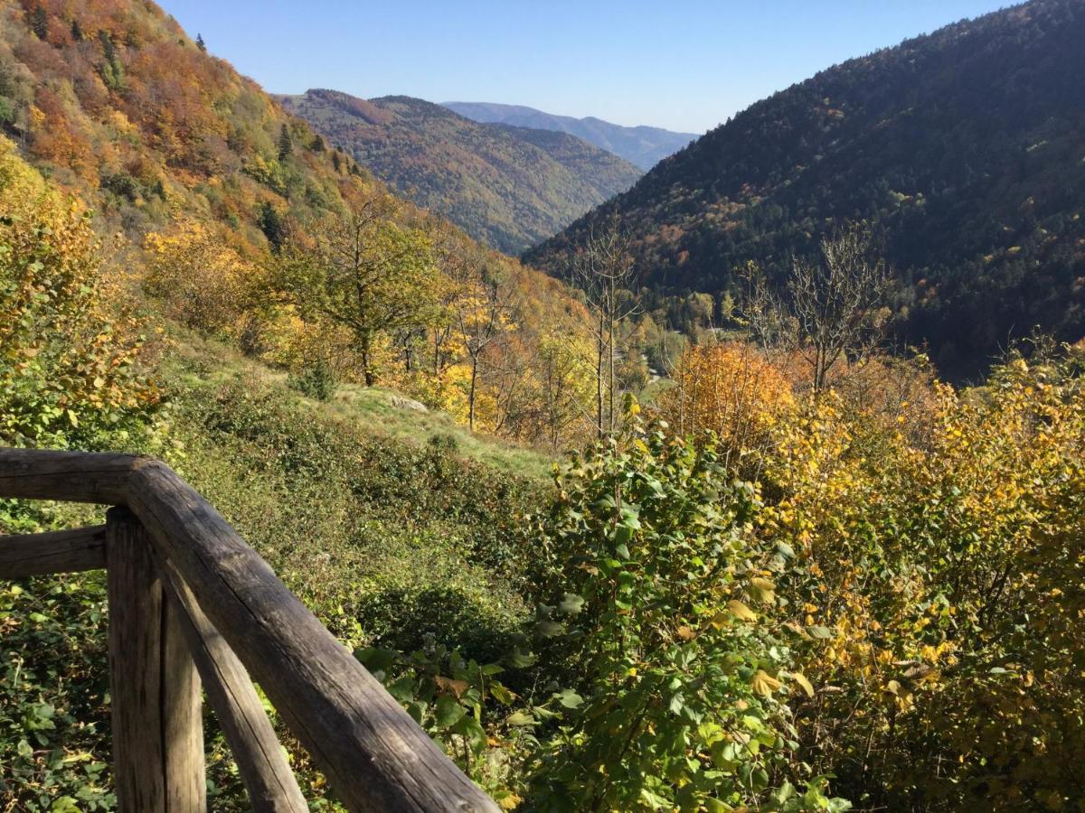 Gite Leonline Sur Les Hauteurs De Masevaux -Au Pied Des Vosges Kültér fotó