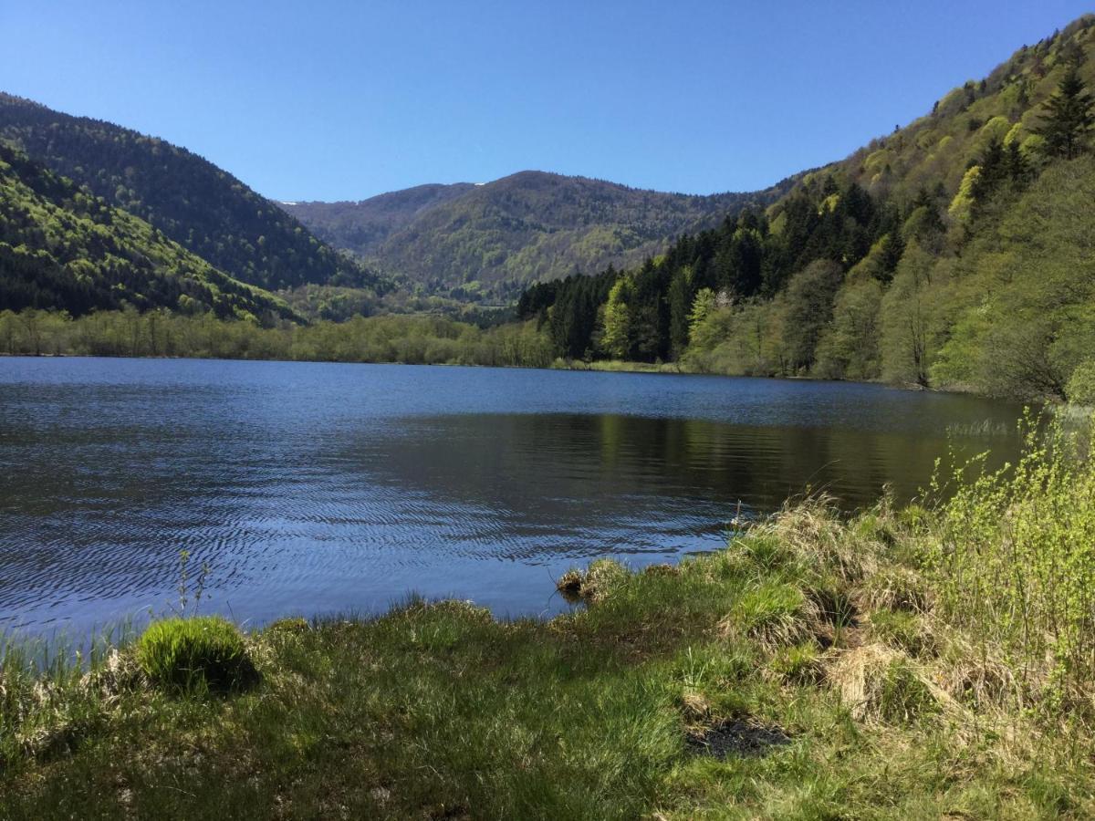 Gite Leonline Sur Les Hauteurs De Masevaux -Au Pied Des Vosges Kültér fotó