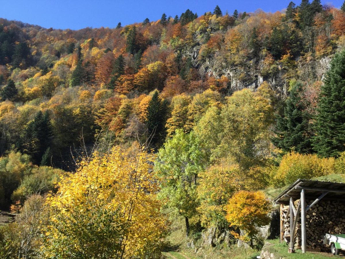 Gite Leonline Sur Les Hauteurs De Masevaux -Au Pied Des Vosges Kültér fotó
