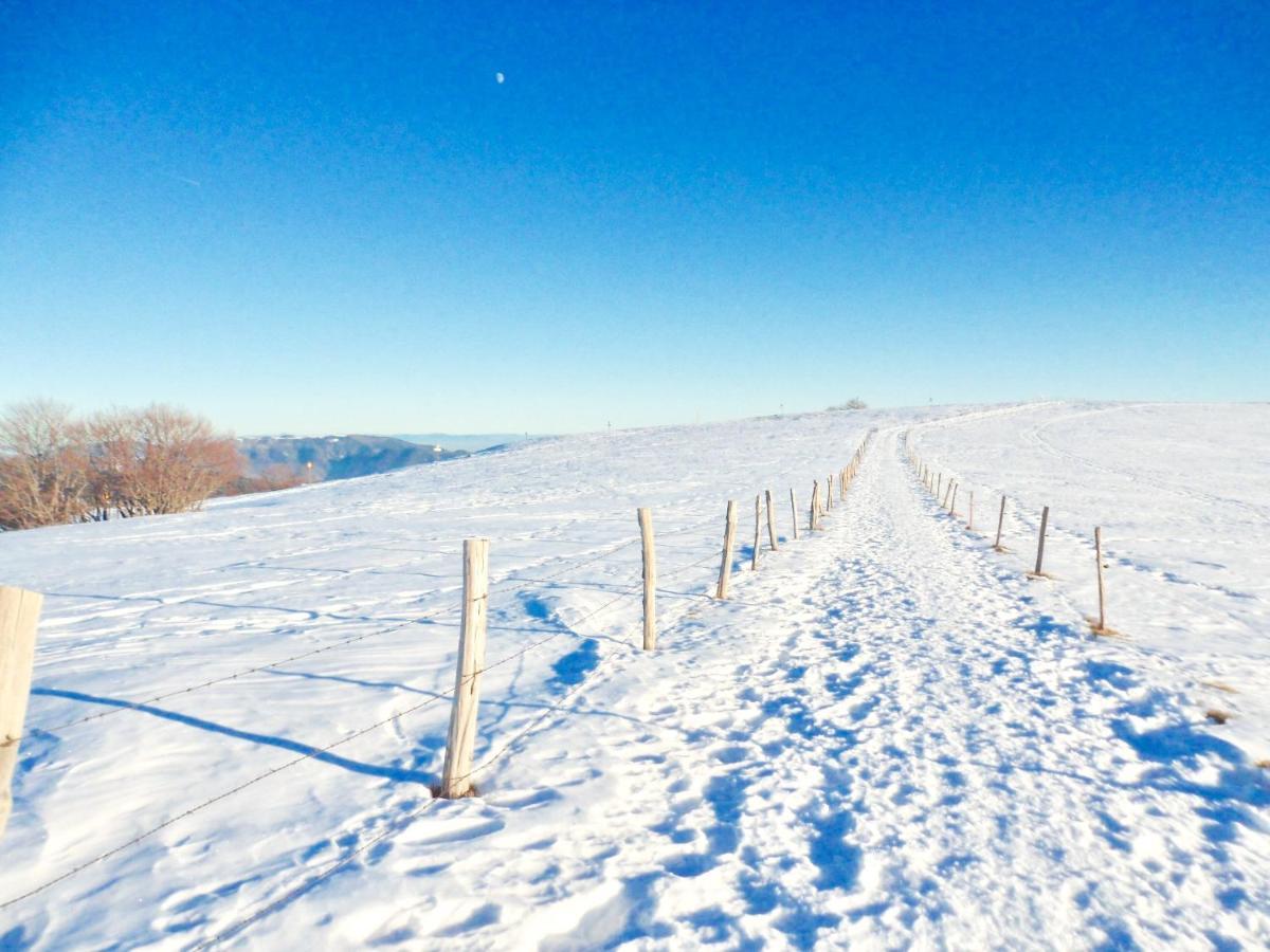 Gite Leonline Sur Les Hauteurs De Masevaux -Au Pied Des Vosges Kültér fotó
