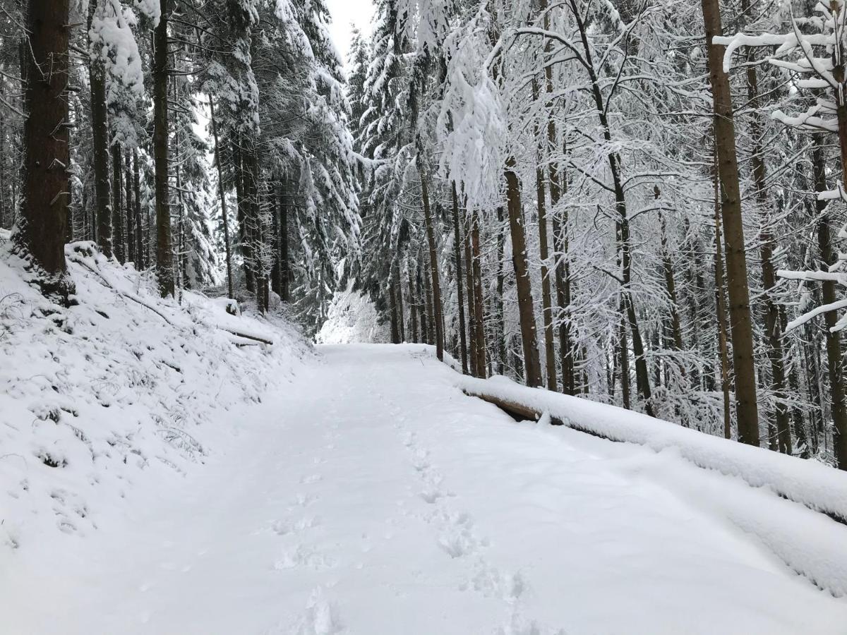 Gite Leonline Sur Les Hauteurs De Masevaux -Au Pied Des Vosges Kültér fotó