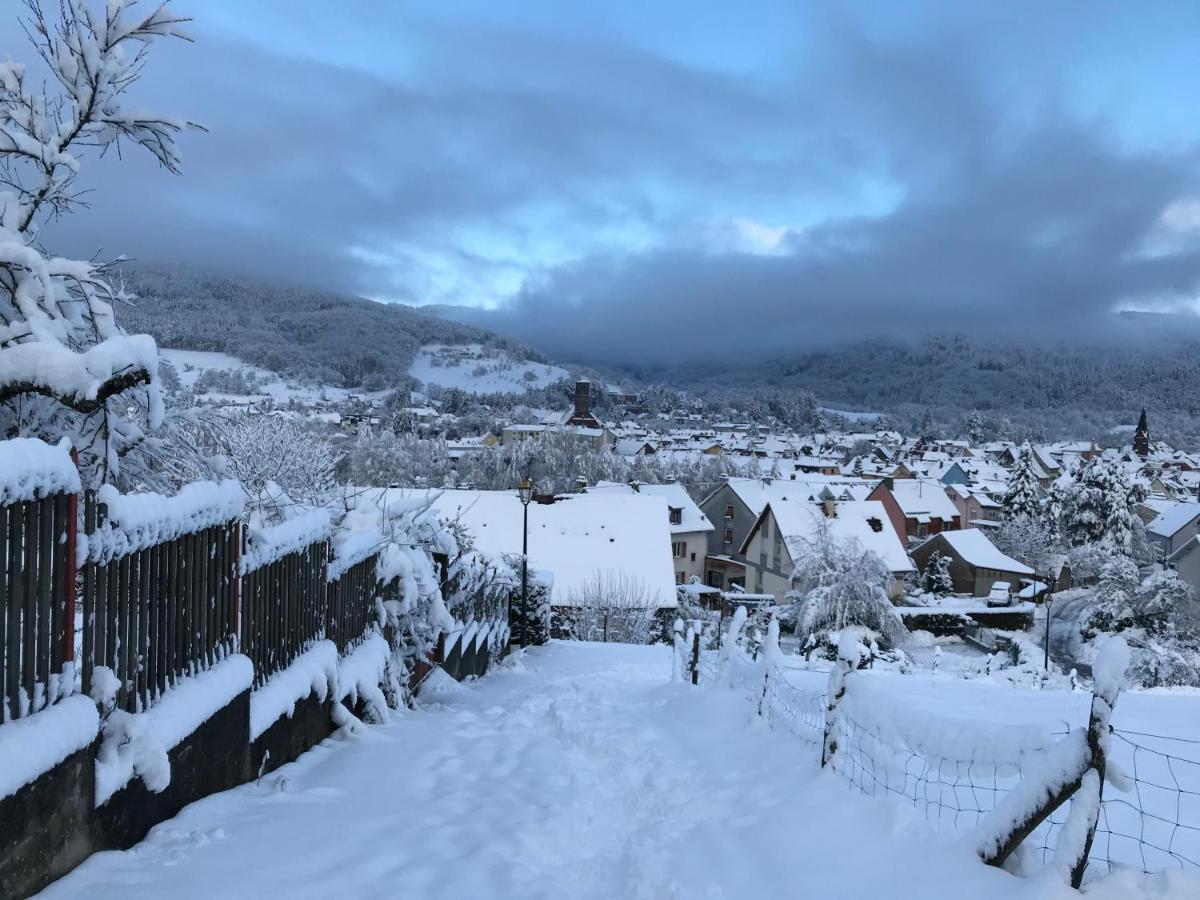 Gite Leonline Sur Les Hauteurs De Masevaux -Au Pied Des Vosges Kültér fotó