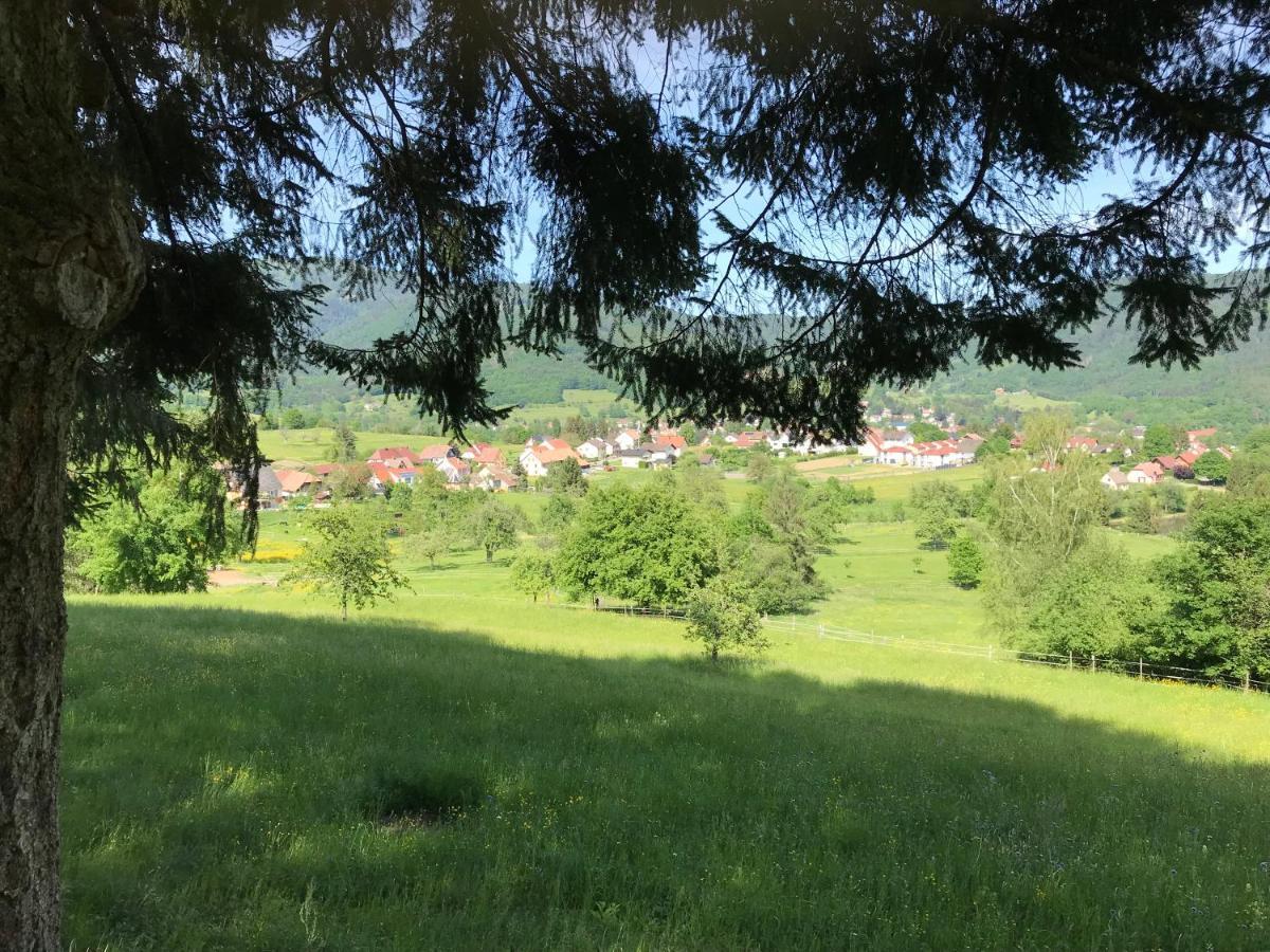 Gite Leonline Sur Les Hauteurs De Masevaux -Au Pied Des Vosges Kültér fotó